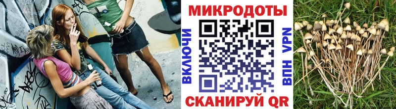 Псилоцибиновые грибы прущие грибы даркнет клад Камбарка гидра зеркало